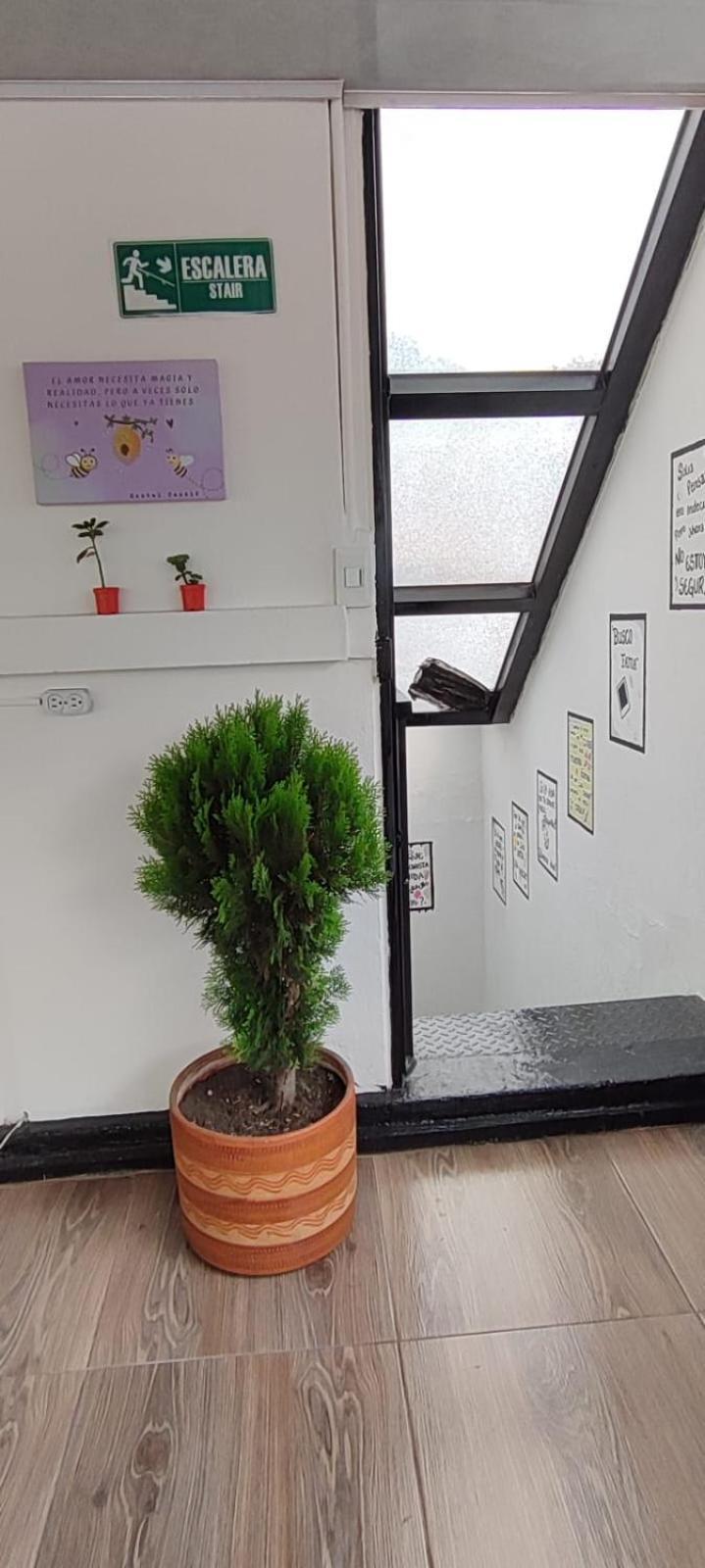 Hostal Casale Usaquen Bogotá Exteriör bild